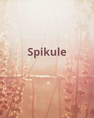 Spikule – mikroneedling bez jehel! ✨ Spikule - jsou drobné jehličkovité částice z mořských hub, které v krémech a sérech...